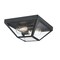 Westinghouse Fixture Ceiling Outdr Flush-Mount 60W 2-Light Wyndham 12In Txt, Black Clear Sd Glass 6114300 - alternate 8